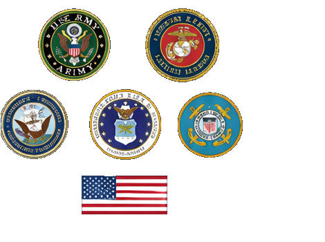 U.S. military branch seals and American flag